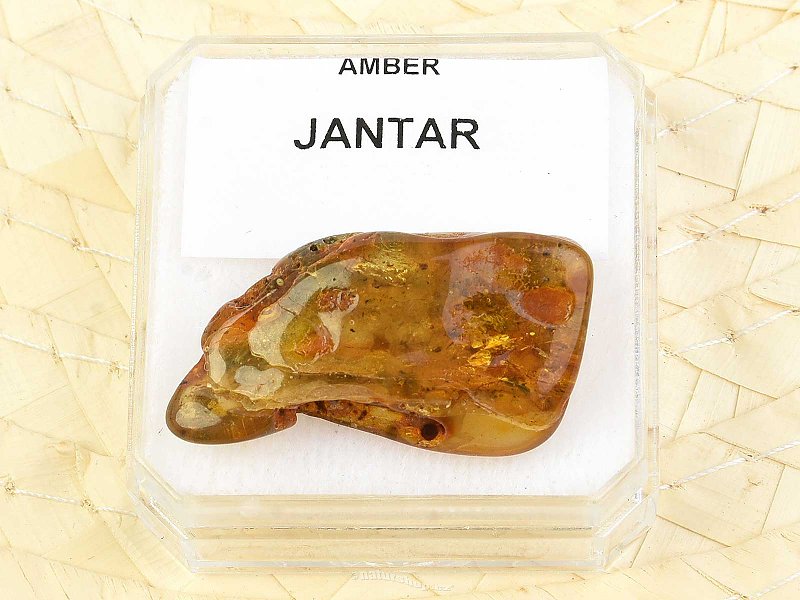 Amber smooth (Lithuania, Balt) 2,15g