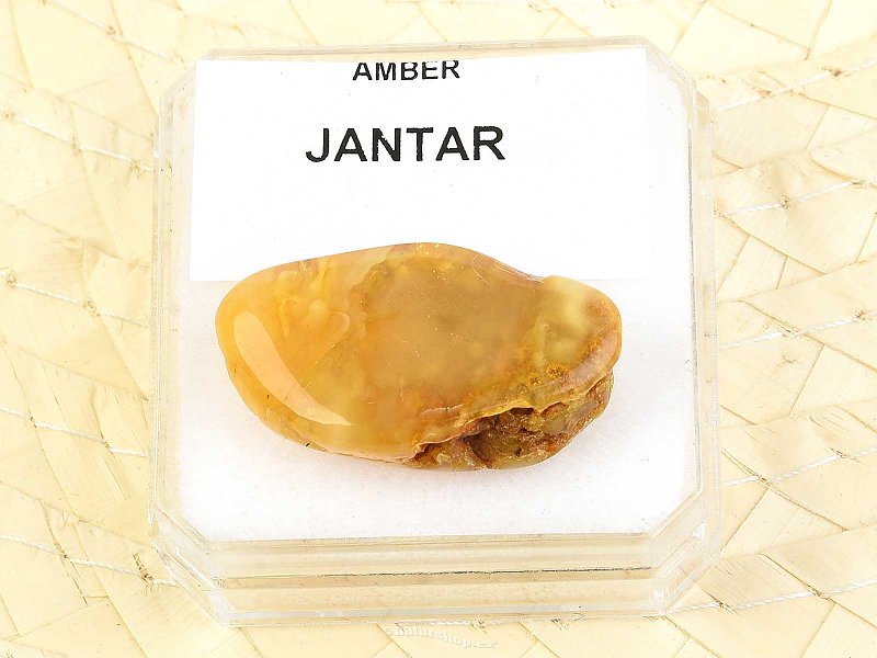 Amber from Lithuania (Balt) 2,0g