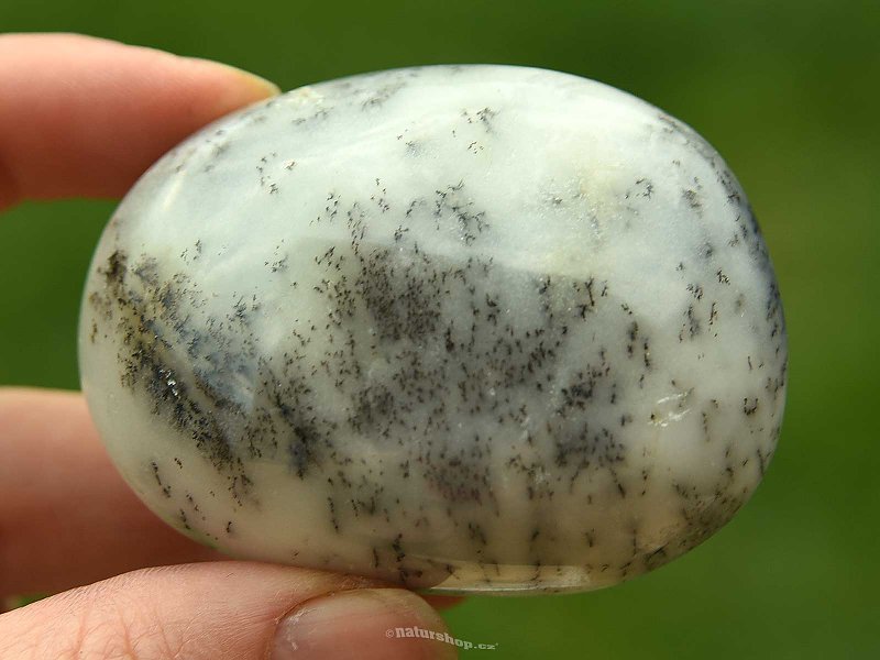Smooth stone dendritic opal 104g
