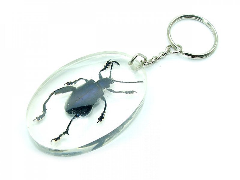 Keychain Blue Beetle typ007