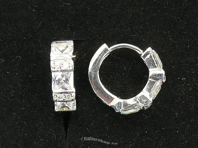 Ag 925/1000 silver earrings typ094