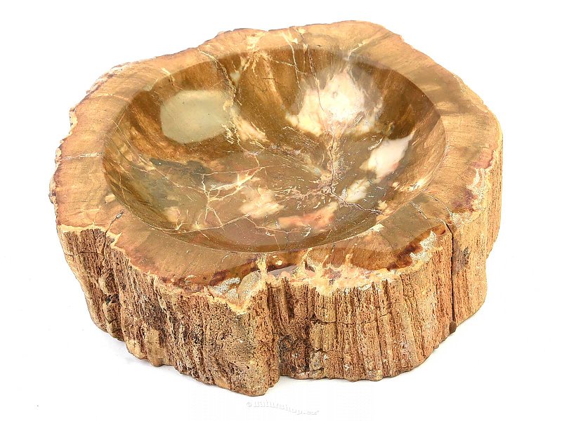 Miska ze zkamenělého dřeva (959g)
