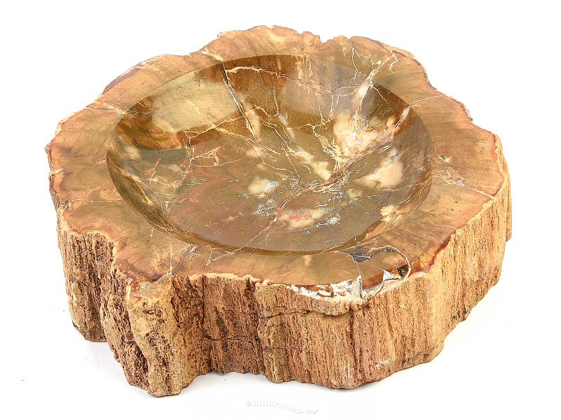Miska ze zkamenělého dřeva (1020g)