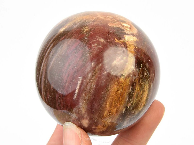 Petrified wood balls Ø 65mm