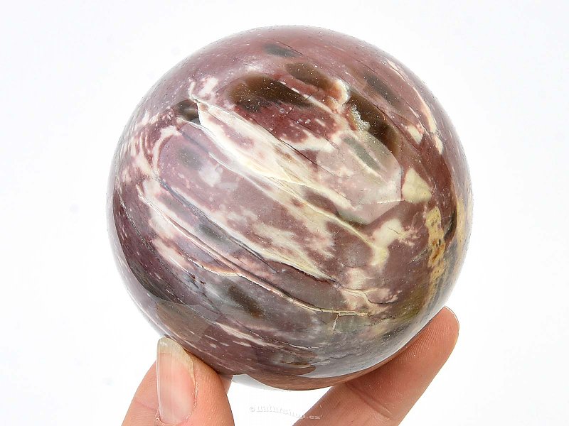 Fossilized wood balls Ø 76mm