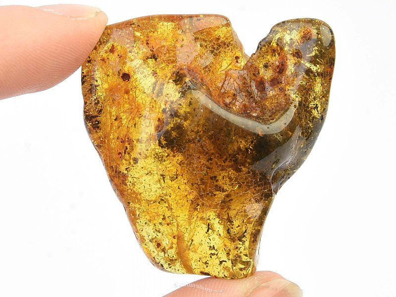 Amber extra selection Lithuania (13.5g)