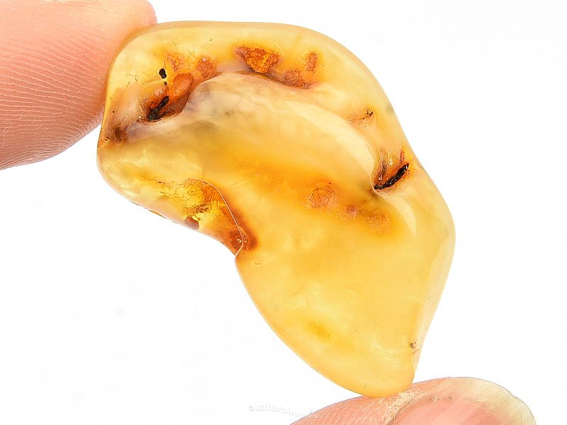 Amber extra from Lithuania (3.5g)