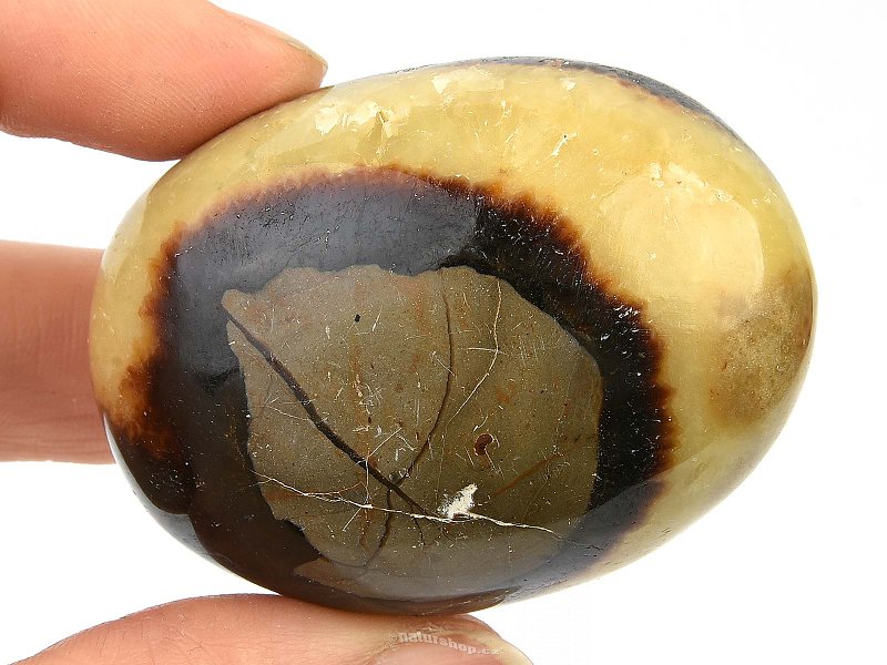 Septarie polished stone 103g