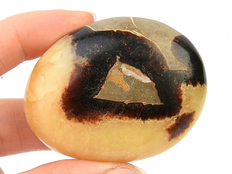 Septarie polished stone (103g)