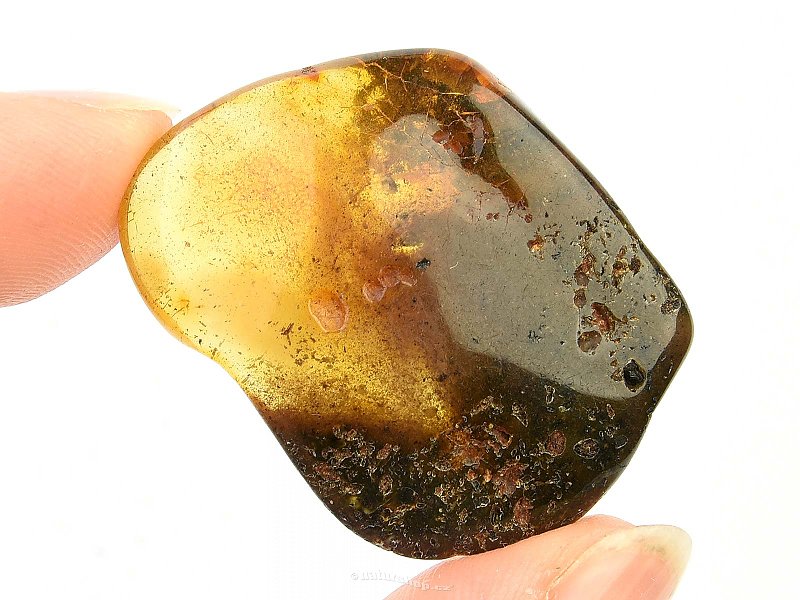 Natural amber (4.1g)