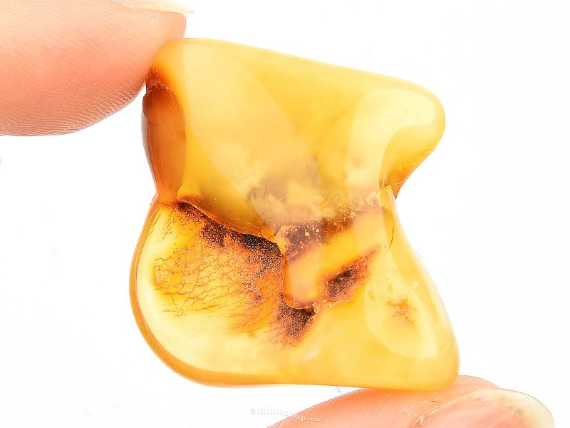 Amber for collectors 5.4g (Lithuania)