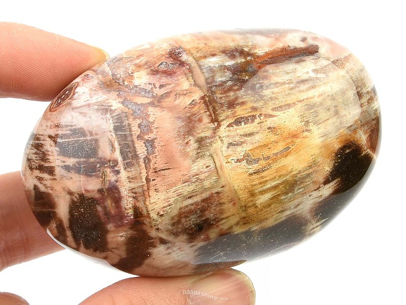 Zkamenělé dřevo hladký kámen 189g