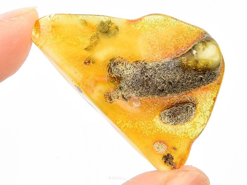 Amber for collectors (5.2g)