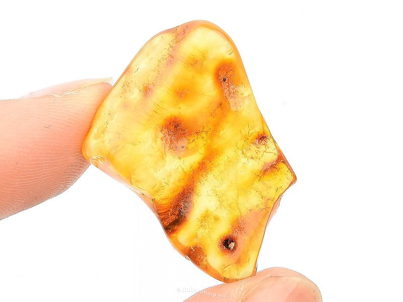 Collectible amber (2.4g)