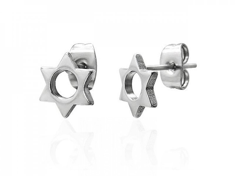 Stainless steel earrings stone star