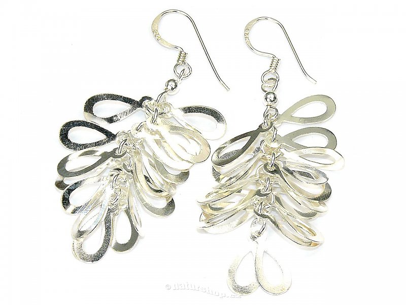 Ag 925/1000 silver earrings typ051