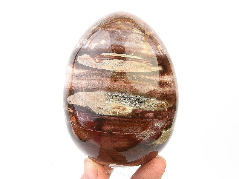 Eggs from petrified wood 648g