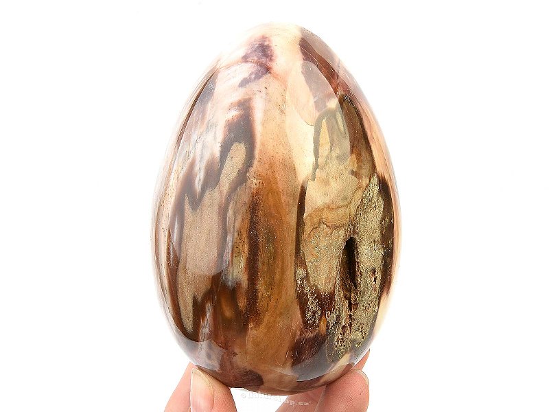 Zkamenělé dřevo vejce s dutinou 881g