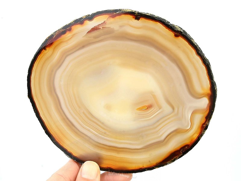 Natural agate slice (224g)