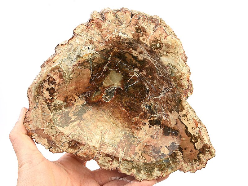 Miska ze zkamenělého dřeva (1557g)