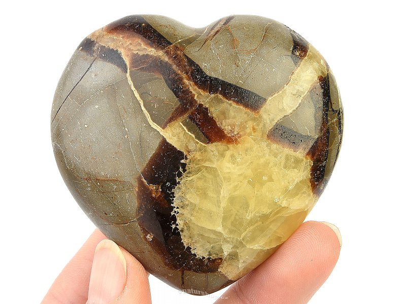 Septarie smooth heart (Madagascar) 157g