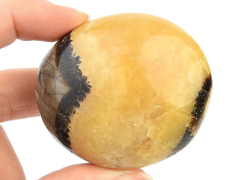 Septarie smooth stone (122g) Madagascar