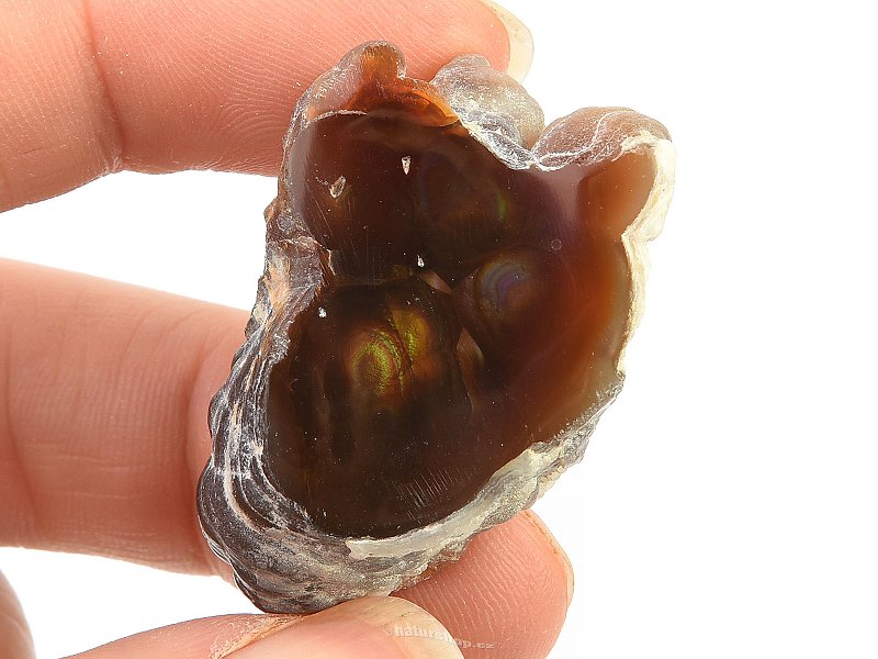 Fiery agate from Mexico (16g)