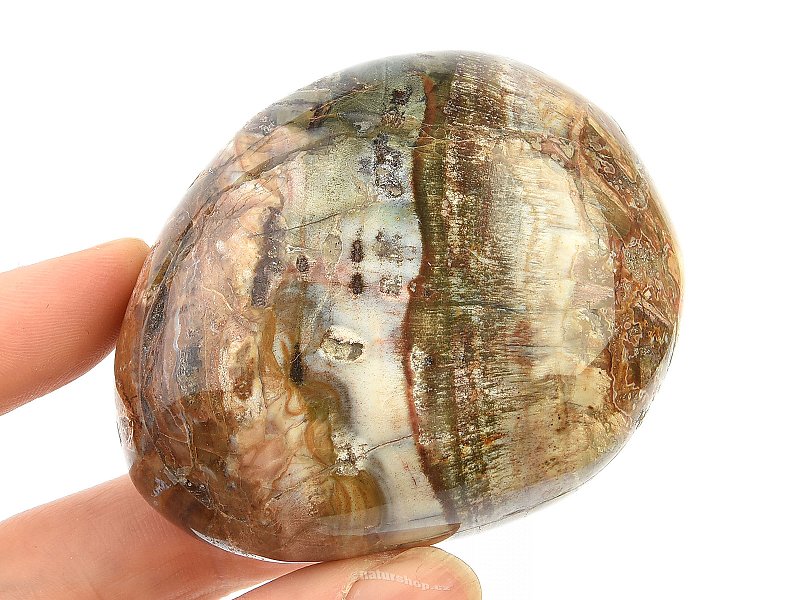 Zkamenělé dřevo z Madagaskaru 174g