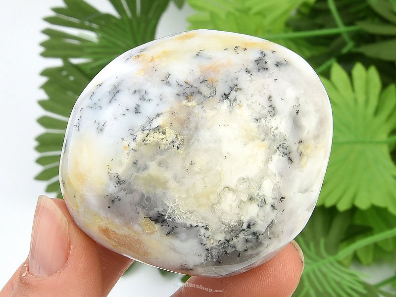 Smooth dendritic opal (110g)