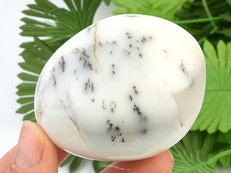 Smooth dendritic opal 138g