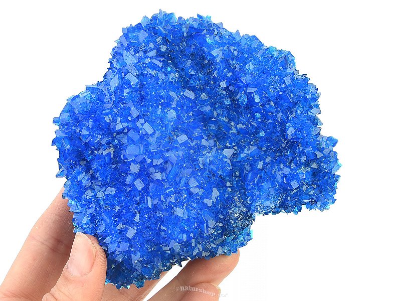Greater blue rock 376g