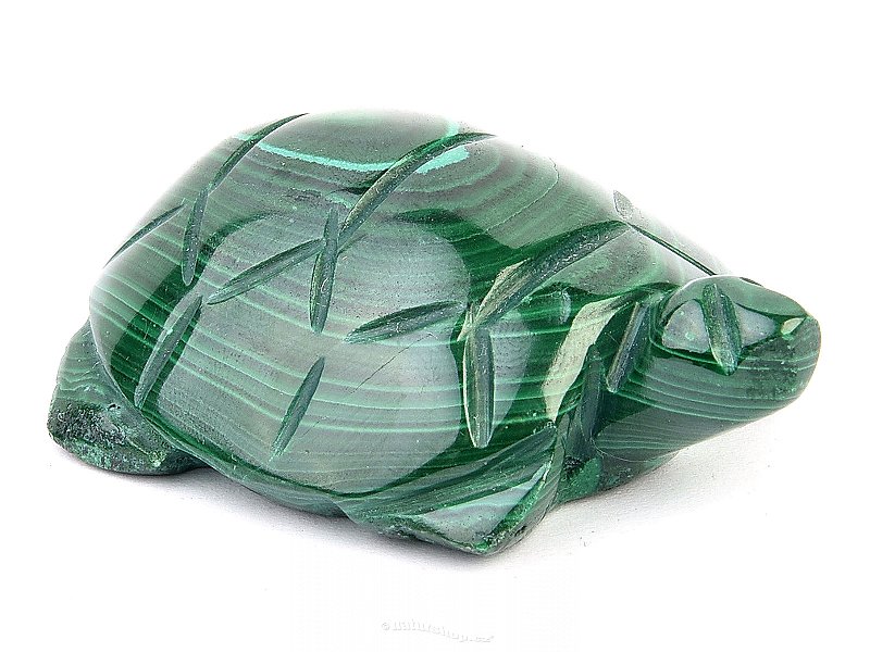 Malachite turtle 67g