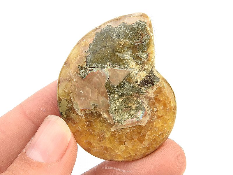 Amonit vcelku s opálovým leskem (22g)