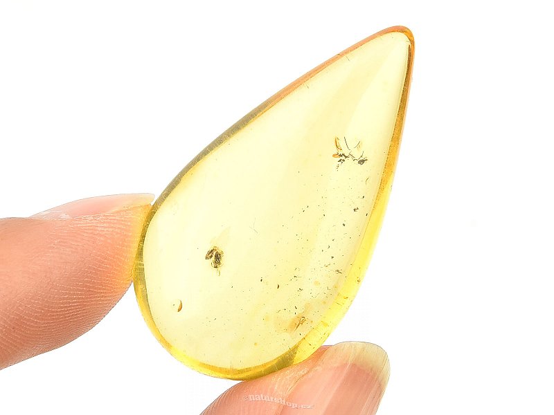 Radiant Amber Large Drop (4.6g)