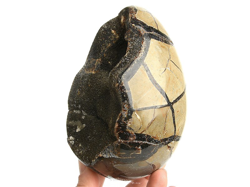 Septaria - dragon egg 1254g