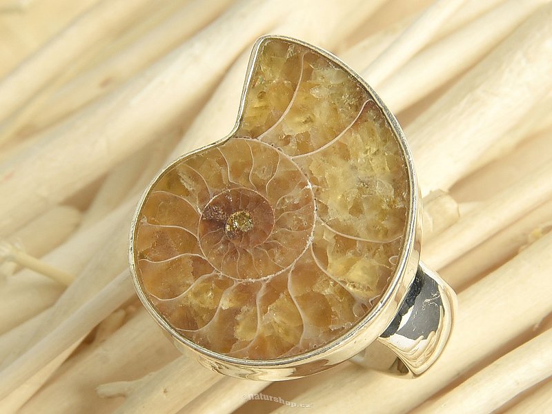Ammonite ring size 53 Ag 925/1000 8.4g