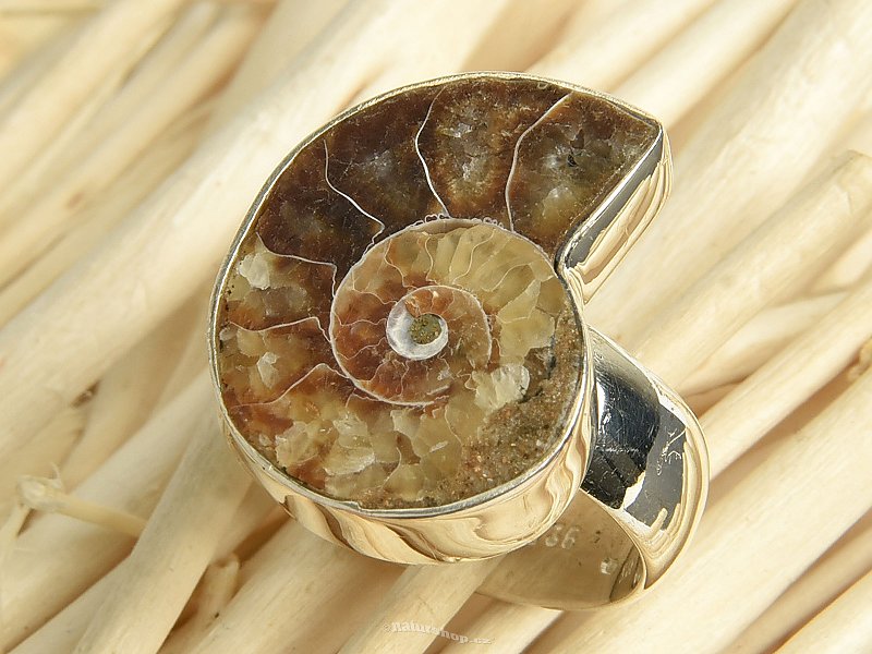 Ammonite ring size 55 Ag 925/1000 8g