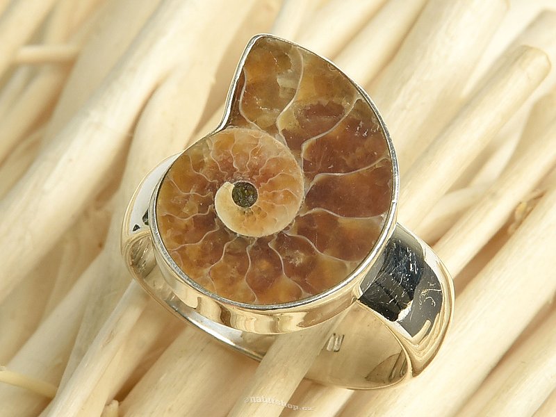 Ammonite ring size 56 Ag 925/1000 7g