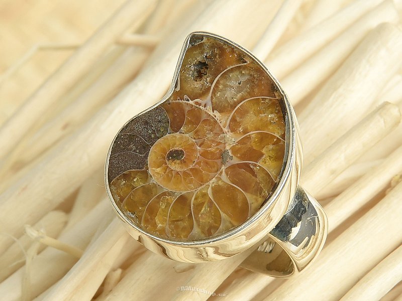 Ammonite ring size 54 Ag 925/1000 8.7g