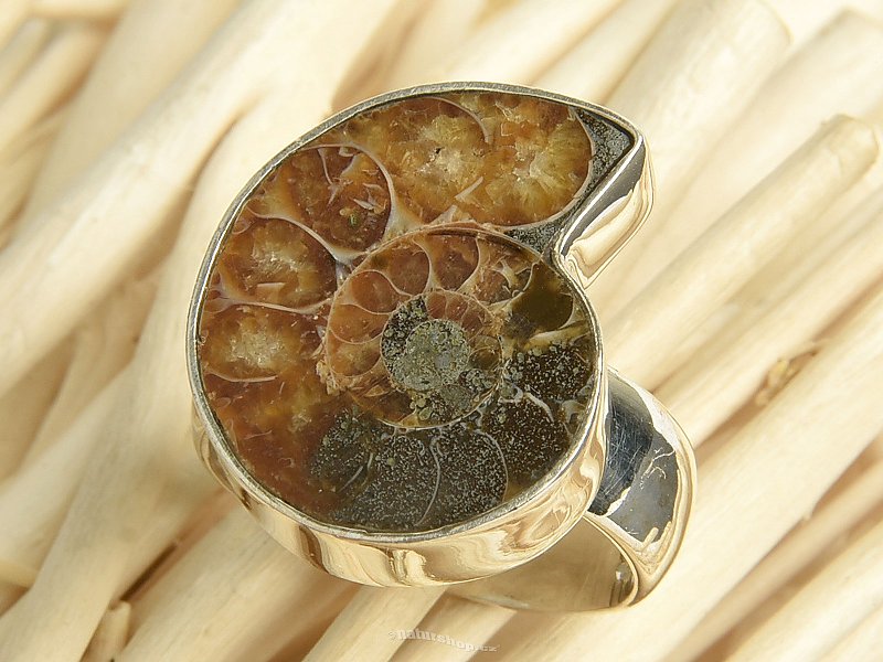 Ammonite ring size 55 Ag 925/1000 8.9g