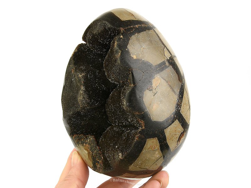 Septaria - dragon egg 1809g