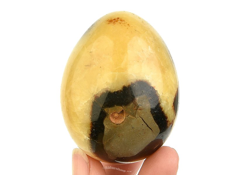 Septaria egg (Madagascar) 187g