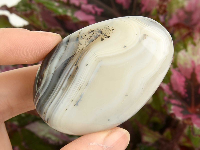 Agate with dendrites (Madagascar) 65g