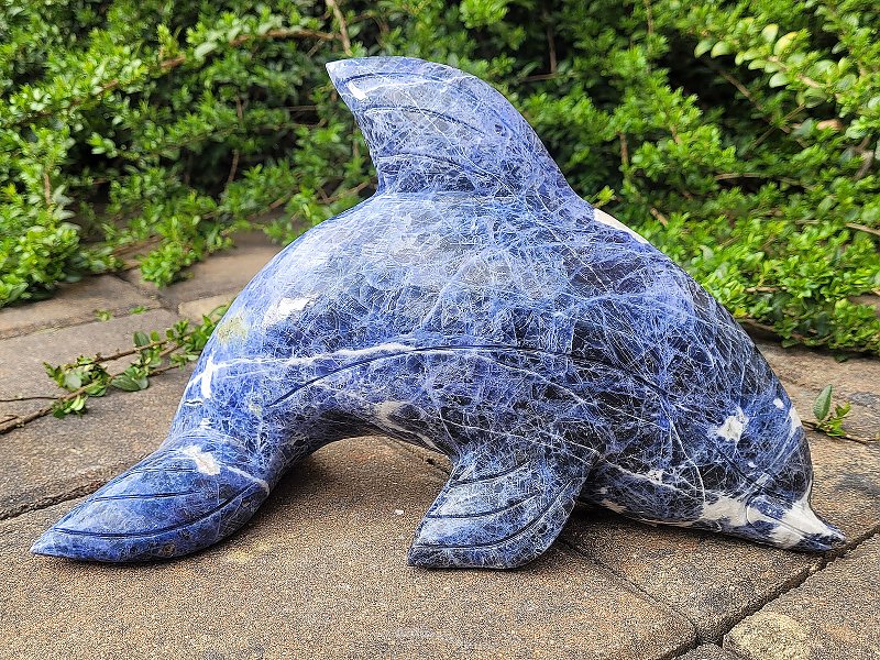 Sodalite in the shape of a dolphin 2248g
