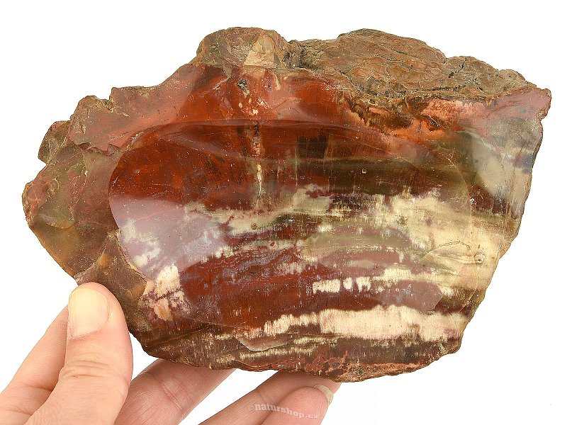 Zkamenělé dřevo miska (Madagaskar) 853g