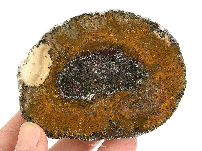 Agate geode with cavity Choyas (Mexico) 244g