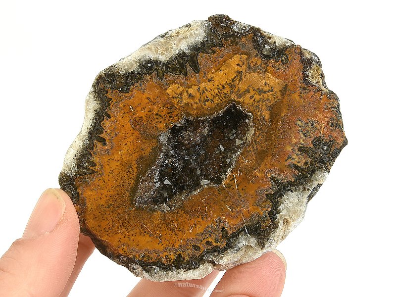 Agate geode with cavity Choyas (Mexico) 197g