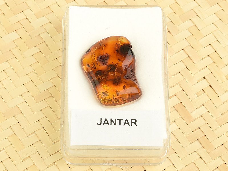 Polished amber from Lithuania in a box (2.1g)