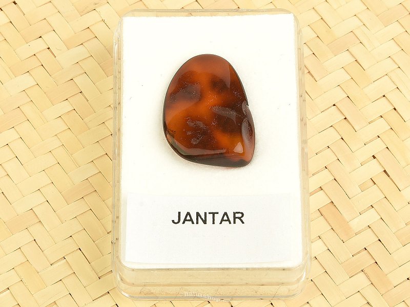 Amber from Lithuania in a box (1.2g)