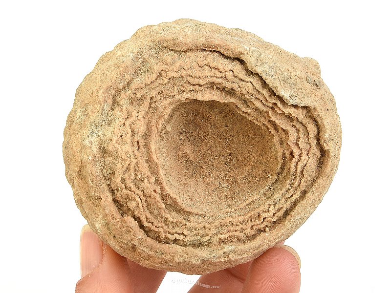Petrified stromatolite Morocco 369g